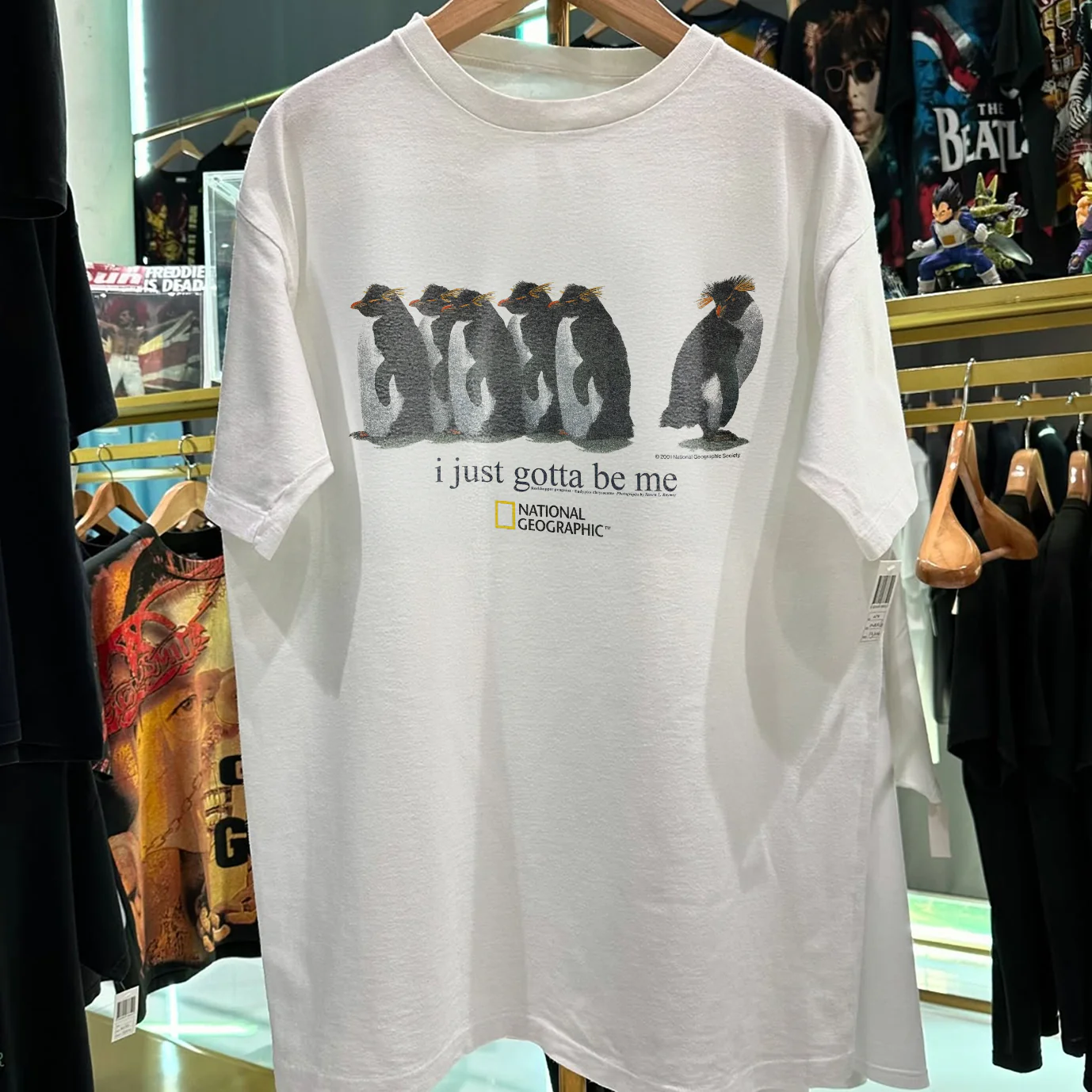 2001 'I Just Gotta Be Me' Rockhopper Nat Geo Rare Washed White T-Shirt - Image 4