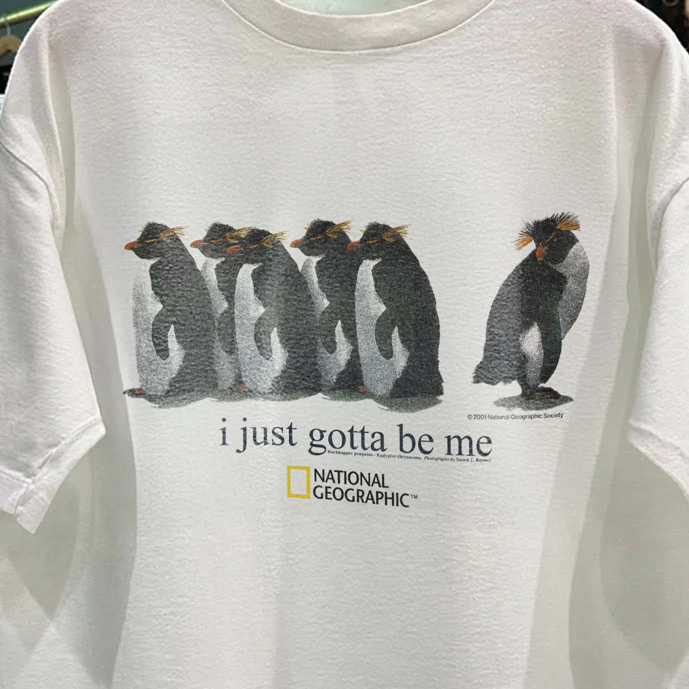 2001 'I Just Gotta Be Me' Rockhopper Nat Geo Rare Washed White T-Shirt - Image 5